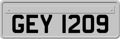 GEY1209