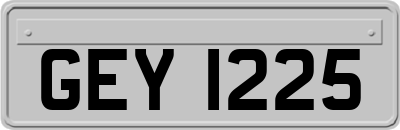 GEY1225