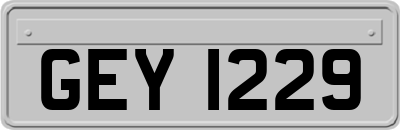 GEY1229