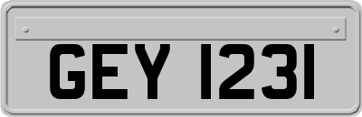 GEY1231