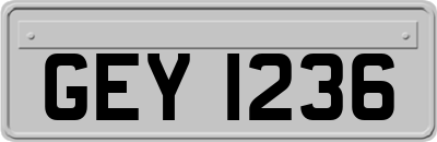 GEY1236