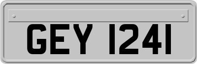 GEY1241