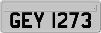 GEY1273