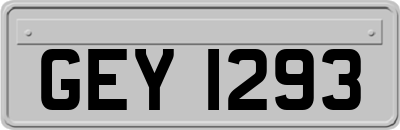 GEY1293