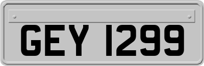 GEY1299