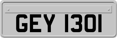 GEY1301