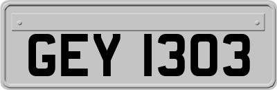 GEY1303
