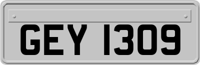 GEY1309