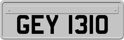 GEY1310