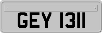 GEY1311