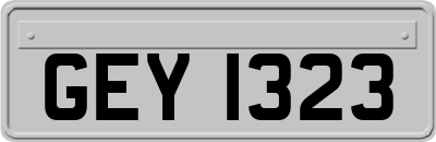 GEY1323