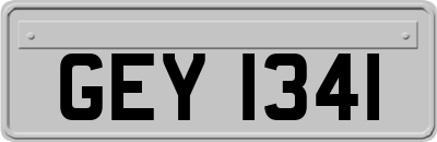GEY1341