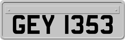 GEY1353