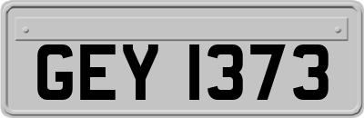 GEY1373