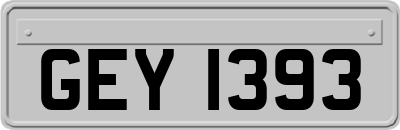 GEY1393