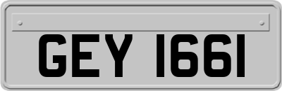 GEY1661