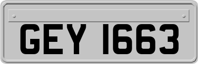 GEY1663