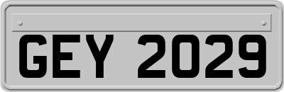 GEY2029