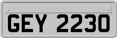 GEY2230