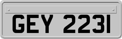 GEY2231