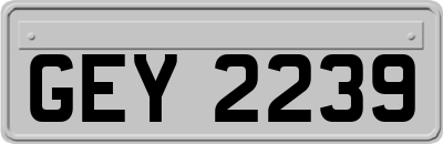GEY2239