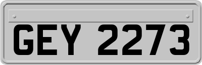 GEY2273