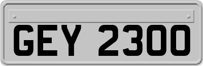 GEY2300