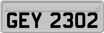 GEY2302