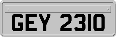 GEY2310