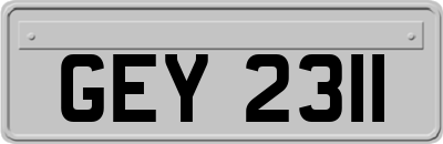 GEY2311