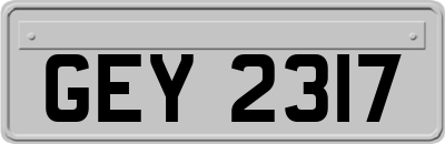GEY2317