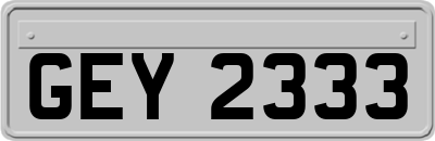 GEY2333
