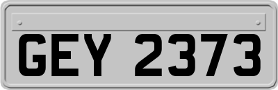 GEY2373