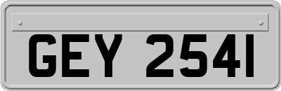 GEY2541