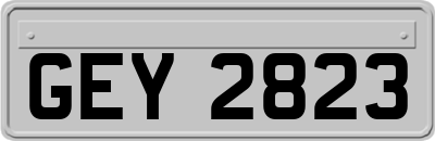GEY2823