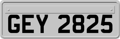 GEY2825