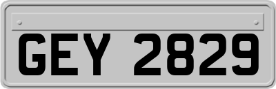 GEY2829
