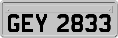 GEY2833