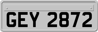 GEY2872