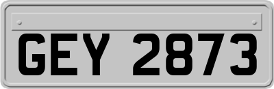 GEY2873