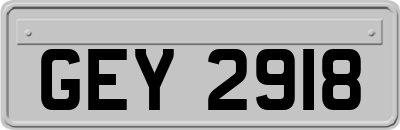 GEY2918
