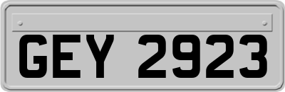 GEY2923