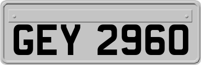 GEY2960
