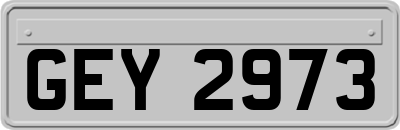 GEY2973