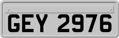 GEY2976