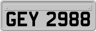 GEY2988