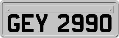 GEY2990