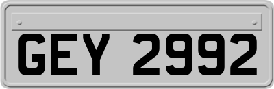 GEY2992