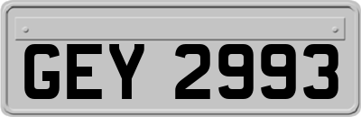 GEY2993