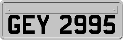 GEY2995
